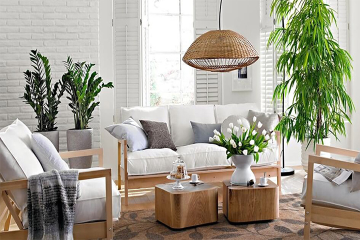 Đồ Gia Dụng, Nội Thất, Cây Cảnh